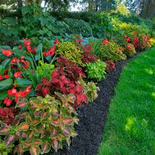 Plants like caladiums and creeping jenny will thrive in the shade, and they'll also add great color and movement to your planters. Planning Landscape For Shady Areas