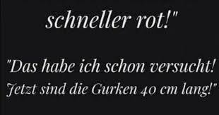 Pin Von Nadine Auf Humor Lustiges Witzige Spruche Lustige Paare Zitate Kurze Lustige Zitate