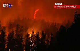 Σταύρου μπένου ως επικεφαλής της ομάδας για την ανασυγκρότηση της εύβοιας έθεσε ευθύς εξαρχής ψηλά τον πήχυ των προσδοκιών. Fwtia Sthn Eyboia Eikones 8lipshs O Oyranos Kokkinos Oi Floges Pantoy