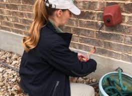 Weed, disease & turf pest control on every visit. Chem Free Organic Pest Lawn Author At Austin Monthly Magazine
