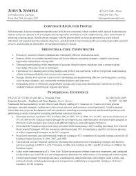 Pin On Resume Examples Simple