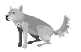 Bekijk onze anime kawaii wolf selectie voor de see more about gif, anime and kawaii. Top Arctic Wolf Stickers For Android Ios Gfycat
