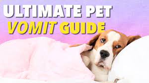 This is because brown vomit from your dog can indicate some serious issues that should only be diagnosed and hopefully, this guide to different types of dog vomit will help you know what to look out for and what. Dog Vomit Different Colors And What They Mean Ultimate Pet Nutrition