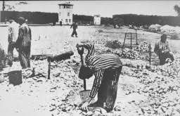 Concentration Camp System: In Depth | Holocaust Encyclopedia