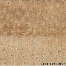 Image result for Berlinia grandiflora