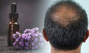 Lavender oil is known to be a very powerful remedy for increasing blood circulation in the scalp. Hair Loss Treatment Lavender Oil Shown To Help Hair Grow Thicker And Faster Express Co Uk