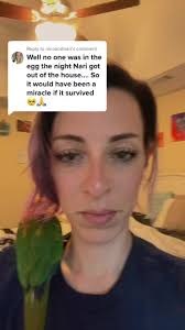 Colleen Everett (@wildandfree1989)