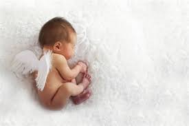 Angel Baby Wings Anjos Fotografia 37733586 Fanpop