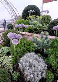 Best Small Garden Design Ideas From The Young Gardeners Competition Architectural Plants Front Garden Design Modern Garden