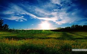 We did not find results for: Download Desktop New Windows Xp Wallpaper Full Hd Wallpapers Hd Wallpaper Windows Xp 1920x1200 Wallpaper Teahub Io