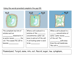 Maybe you would like to learn more about one of these? Osmosis And Plant Cells Starter Teaching Resources