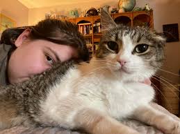 WE FOUND HIM!!! Previously Lost Cat