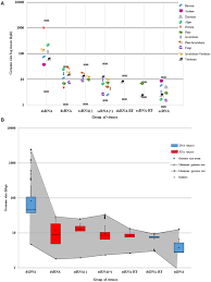 Frontiers Viral Genome Size Distribution Does Not