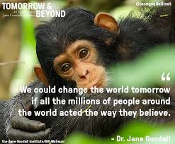 Alexis Armstrong (@lexiswrite)