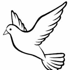 白兰鸽巡游记【丢火车乐队伴奏】 - 专业伴奏下载- 伴奏升降调 ...