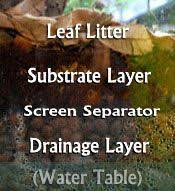 Neherp Vivarium Construction 101 The Most Complete Vivarium Building Articles Online With Images Dart Frog Vivarium Vivarium Reptile Terrarium