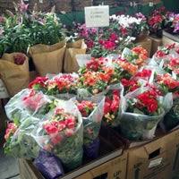 In 1977 produce junction was founded by, and still owned and operated by a local philadelphia family. Produce Junction Wynnefield 9 Tips