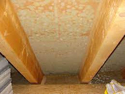 Haben sie weitere fragen zu agepan dwd protect platte? Bau De Forum Dach 16400 Schimmel An Dwd Platten Im Kalten Dachspitz