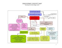 Pin On Pharmacotherapy Mind Maps