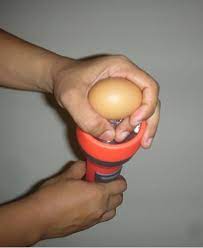 Cara menetaskan telur ayam secara manual perlu untuk diketahui, terutama untuk pebisnis pemula di bidang peternakan ayam. Panduan Pengguna