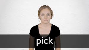 To choose a person or thing, for example.: Pick Definition And Meaning Collins English Dictionary