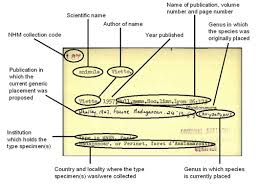 How does microsoft word password recovery work? Lepindex About The Index Cards