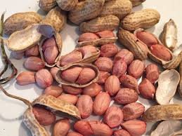 Traditional, bold, honey roasted & oven roasted flavors available. Heirloom African Peanut Once Nearly Extinct Returns The Salt Npr