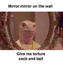 I give my permission to pass my contact information to the alleged infringing party. Mirror Mirror R Okbuddyretard Cock And Ball Torture Know Your Meme