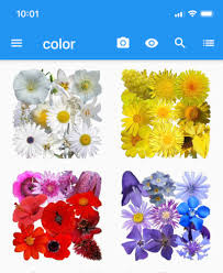 It counts on its users to create a botanical database and the user is the last word on whether or not the plant listed is a match. Identify Plants In A Snap With These 6 Top Apps Here By Design