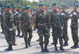 Angkatan ini merupakan angkatan bersenjata milik sultan johor. Why Is Johor The Only Msian State With Its Own Private Army Update