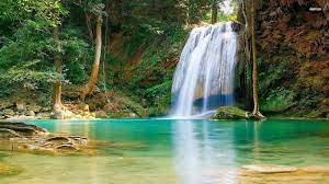 You will definitely choose from a huge number of pictures that option that will suit you exactly! Hd Nature Wallpapers Most Beautiful Nature Hd Images Wallpapers For Desktop Beautiful Images Nature Nature Desktop Hd Nature Wallpapers