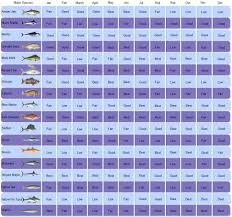 Fishing Calender Sushi Time Fishing Fishing Calendar Calendar Cabo San Lucas