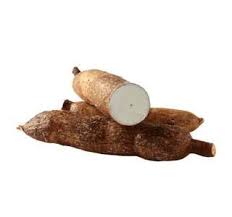 Yucca Cassava Root A Natural Anti Inflammatory And Antibacterial Agent Yucca Root Is An Underrated Ingredient Despite Its Many Uses Yuca Yucca Food And Drink
