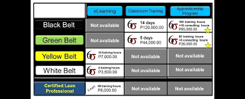 Six Sigma Training And Certification Philippines Six Sigma Manila Elearning Apprenticeship Program Class Room Trainings Apprenticeship Train Elearning