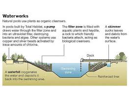 Natural Swimming Pool Ecological Homeexteriorinterior Com Natural Swimming Ponds Natural Pool Swimming Pond