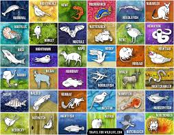 A collection of animals that start with n including pictures and descirptions. Animals Beginning With N Photos And Illustrations Travel For Wildlife