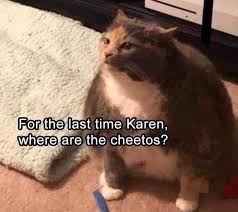 33 Funny And Hilarious Animal Memes That Will Make Anyone Have A Great Day Funny Animal Memes Funny Cat Memes Funny Animal Jokes