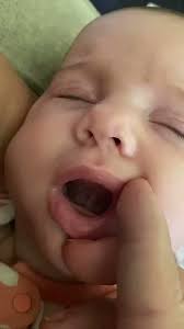 The Feeding Mom- Mallory Roberts