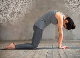 In pregnancy, the pose can be practised reclining as wall butterfly, with the buttocks and feet against a wall, feet together, the knees falling to the sides. Animal Inspired Yoga Poses Yogi Tea