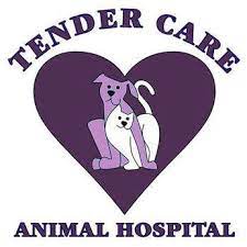 Petzz offers expert veterinary doctors in bangalore at your doorstep. Veterinarian In Gretna Ne Tender Care Animal Hospital