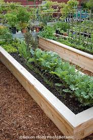We did not find results for: New Raised Bed Vegetable Garden Made From Sustainably Farmed Cedar Wood Jennifer Vegetable Garden Raised Beds Vegetable Garden Design Raised Vegetable Gardens