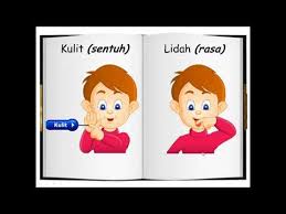 Gerak balas terhadap rangsangan sains tahun 4. Manusia Bergerak Balas Terhadap Rangsangan Lessons Blendspace