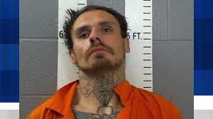 Wilson police search for suspect who shot officer