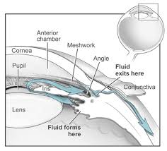 Image result for Intraocular Pressure