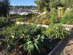 Complex system thinking approach to urban greenery planning and design