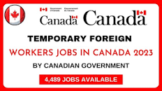 Image result for foreign jobs 2023