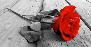 For educational purposes only and no copyright infringement intended. Bette Midler The Rose Chords And Lyrics Bellandcomusic Com