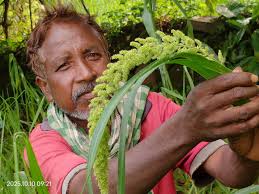 Is pearl barley or hulled barley best? What type of millet?