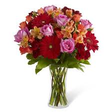 Maybe you would like to learn more about one of these? Dawn Red Gerbera Daisy Bouquet At Send Flowers