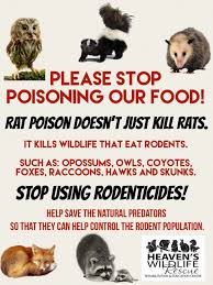 Image result for ratpoison